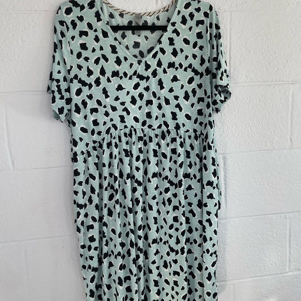 Honeyme Mint and Black Leopard Print Mini Dress